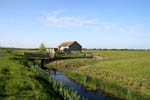 Braunton Burrows