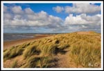 Instow Sand Dunes