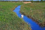 Braunton Burrows