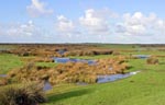 Northam Burrows