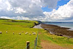 Cornborough Cliffs